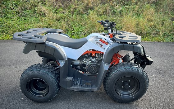 Neufahrzeug Kayo AU 150 - Bild 3