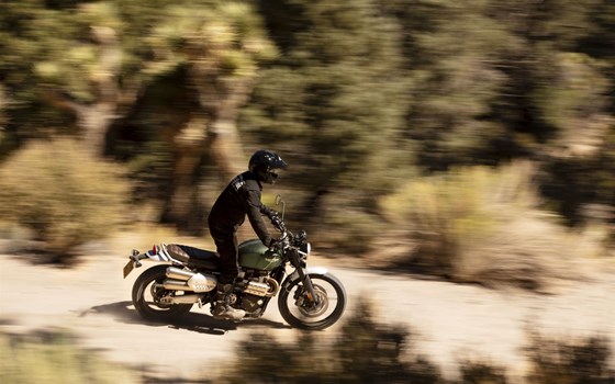 Gebrauchtmotorrad Triumph Scrambler 1200 XC - Bild 6