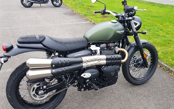 Neufahrzeug Triumph Scrambler 900 - Bild 10