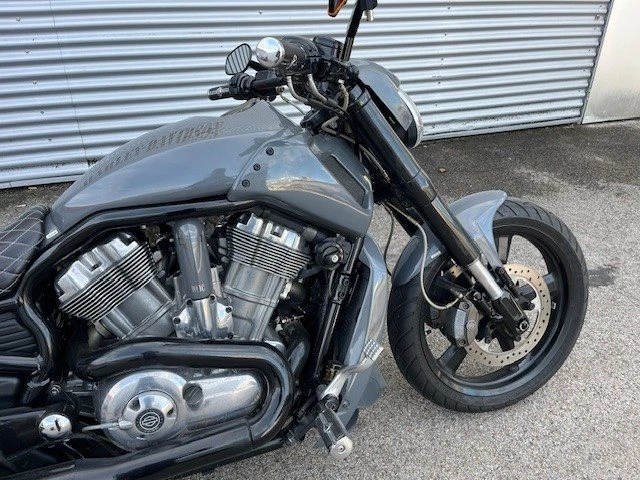 Harley-Davidson V-Rod Muscle VRSCF (Gunship Gray Sonderlackierung) - Bild 2