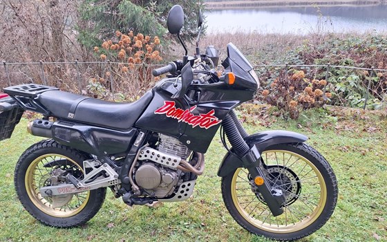 Gebrauchtmotorrad Honda NX 500 Dominator - Bild 1