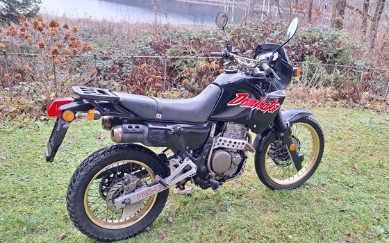 Gebrauchtmotorrad Honda NX 500 Dominator - Bild 2
