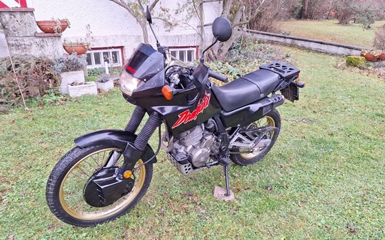 Gebrauchtmotorrad Honda NX 500 Dominator - Bild 3