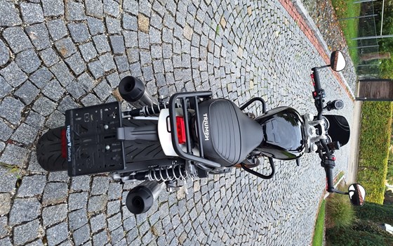 Gebrauchtmotorrad Triumph Speed Twin 1200 - Bild 3
