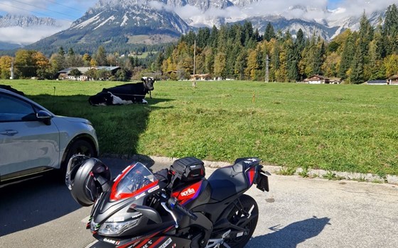 Gebrauchtmotorrad Aprilia RS 125 GP Replica - Bild 5