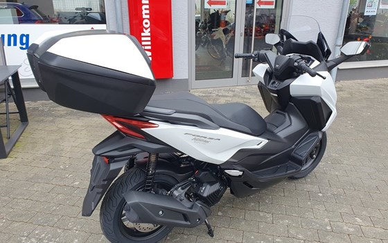Neufahrzeug Honda Forza 125 - Bild 7