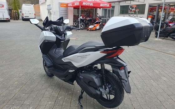 Neufahrzeug Honda Forza 125 - Bild 8