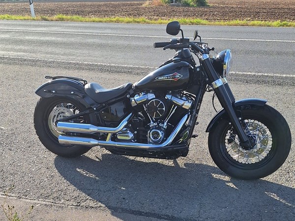 Gebrauchtmotorrad Harley-Davidson Softail Slim FLSL