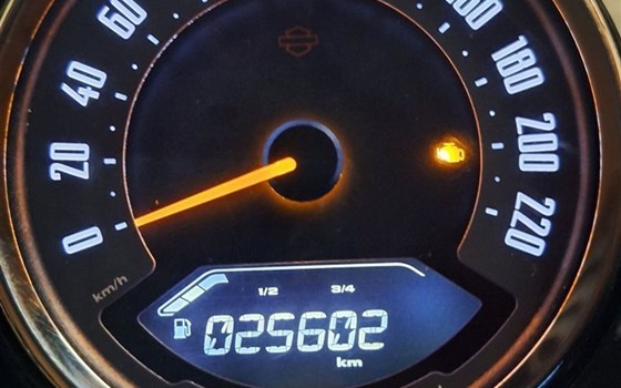 Gebrauchtmotorrad Harley-Davidson Softail Slim FLSL - Bild 10