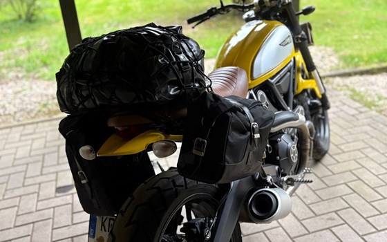 Gebrauchtmotorrad Ducati Scrambler Icon - Bild 4