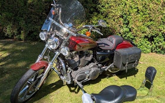 Gebrauchtmotorrad Harley-Davidson Sportster XL 883 C Custom - Bild 1