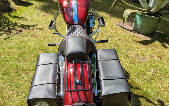 Gebrauchtmotorrad Harley-Davidson Sportster XL 883 C Custom - Bild 2