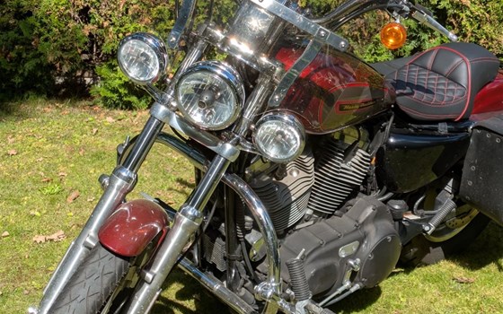 Gebrauchtmotorrad Harley-Davidson Sportster XL 883 C Custom - Bild 3