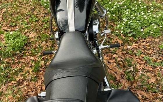 Gebrauchtmotorrad Harley-Davidson Sportster XL 1200 - Bild 2