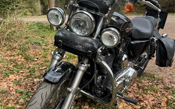 Gebrauchtmotorrad Harley-Davidson Sportster XL 1200 - Bild 4