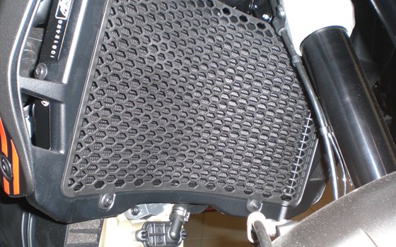 Gebrauchtmotorrad Ducati DesertX - Bild 4