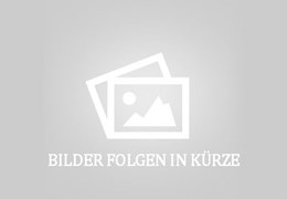 Gebrauchte BMW F 900 R