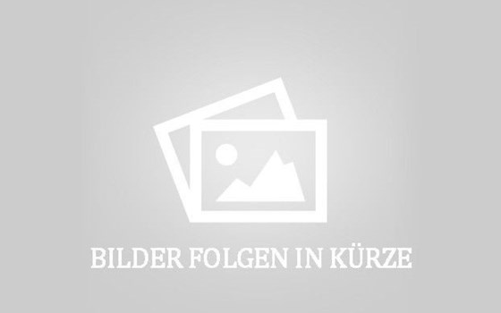 Gebrauchtmotorrad BMW F 900 R - Bild 1