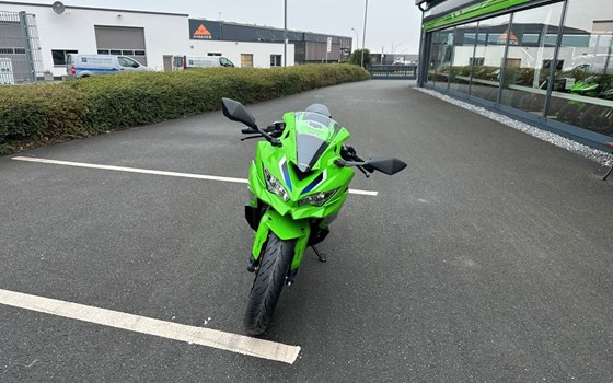 Neufahrzeug Kawasaki Ninja ZX-4RR - Bild 2