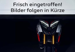 Gebrauchte Ducati Multistrada V4 Rally