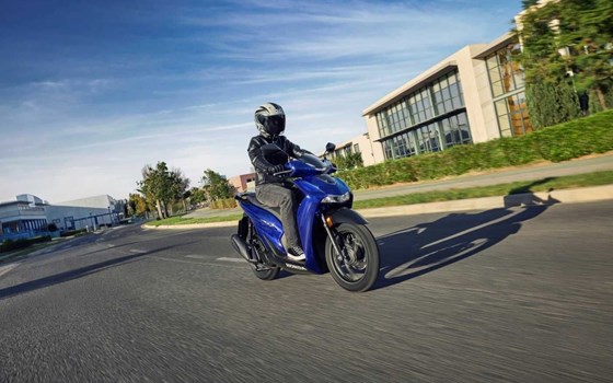 Neufahrzeug Honda SH150i - Bild 4