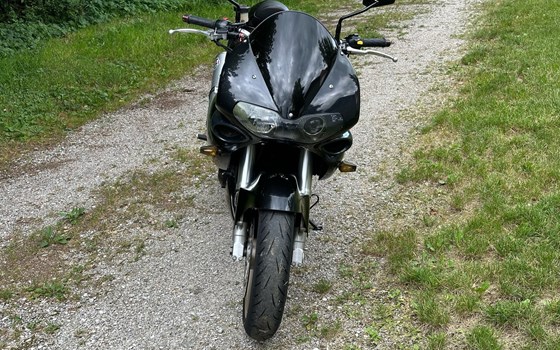 Gebrauchtmotorrad Suzuki TL 1000 S - Bild 3