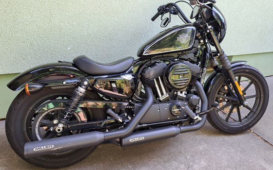 Gebrauchtmotorrad Harley-Davidson Sportster XL 1200NS Iron - Bild 1