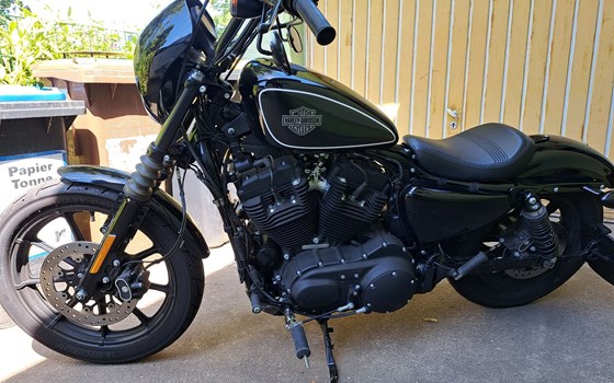 Gebrauchtmotorrad Harley-Davidson Sportster XL 1200NS Iron - Bild 2