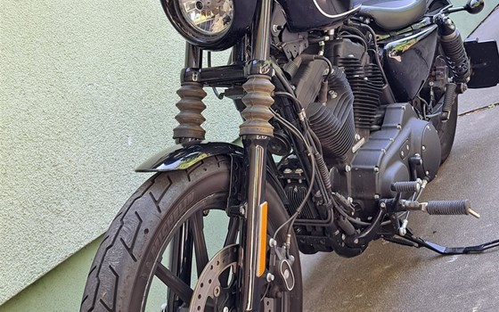 Gebrauchtmotorrad Harley-Davidson Sportster XL 1200NS Iron - Bild 7