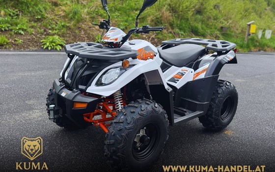 Neufahrzeug Kayo A 300 - Bild 1