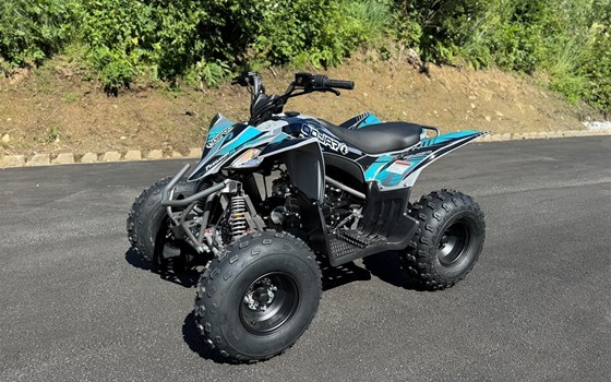 Neufahrzeug Mikilon Pentora ATV 125 - Bild 2