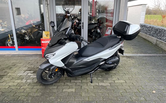 Gebrauchtmotorrad Honda Forza 125 - Bild 1
