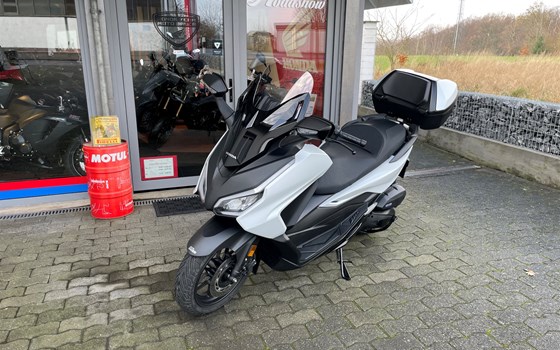 Gebrauchtmotorrad Honda Forza 125 - Bild 2