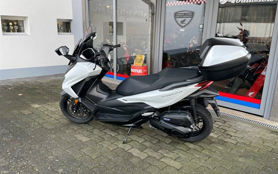 Gebrauchtmotorrad Honda Forza 125 - Bild 3