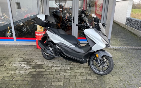 Gebrauchtmotorrad Honda Forza 125 - Bild 4