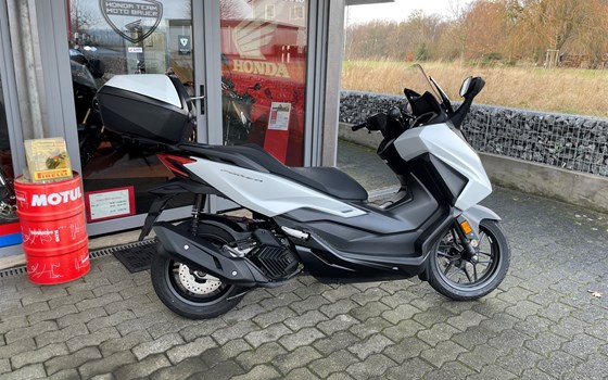 Gebrauchtmotorrad Honda Forza 125 - Bild 6