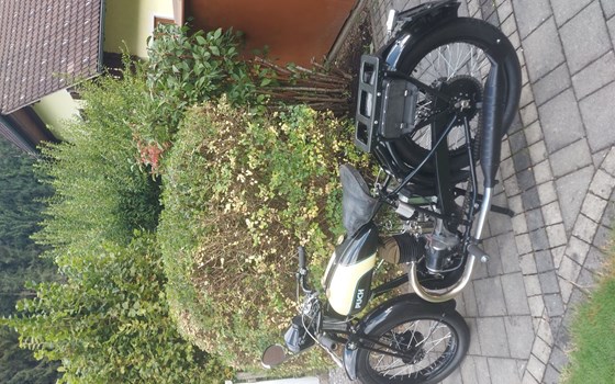 Gebrauchtmotorrad Puch 250 Luxus - Bild 1