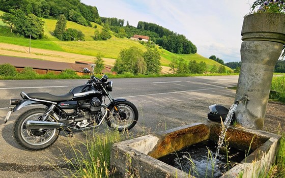 Motorrad Occasion Moto Guzzi V7 Special - Bild 2