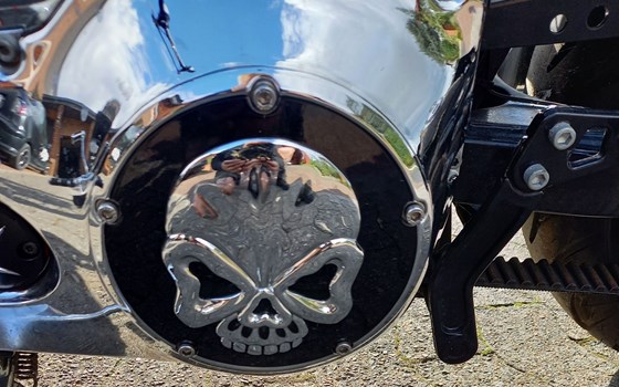 Gebrauchtmotorrad Harley-Davidson Dyna Wide Glide FXDWG - Bild 10