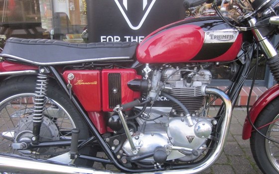 Gebrauchtmotorrad Triumph Bonneville - Bild 4