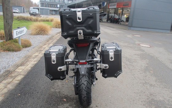 Neufahrzeug Zero DSR/X - Bild 7