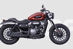 Benda Chinchilla 300