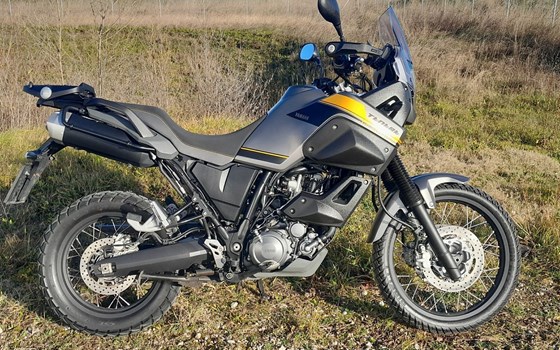 Gebrauchtmotorrad Yamaha XT660Z Tenere - Bild 1