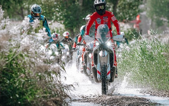 Neufahrzeug Kove 450 Rally - Bild 12