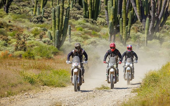 Neufahrzeug Kove 450 Rally - Bild 7
