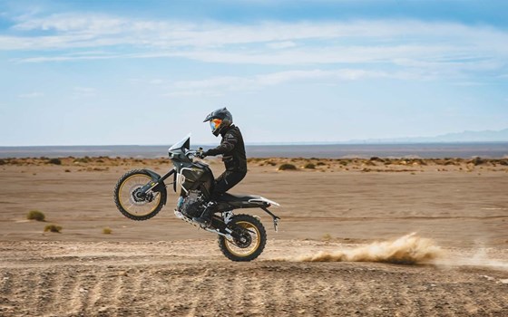 Neufahrzeug Kove 800X - Bild 9