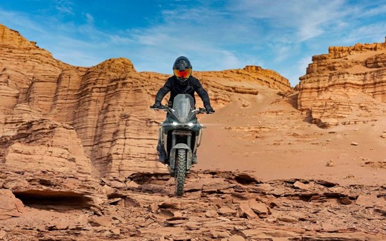 Neufahrzeug Kove 800X - Bild 1