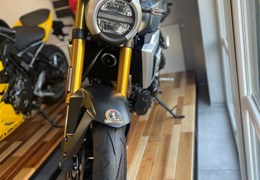 Neumotorrad Suzuki GSX-8T