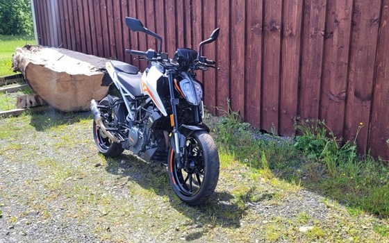 Gebrauchtmotorrad KTM 390 Duke - Bild 7