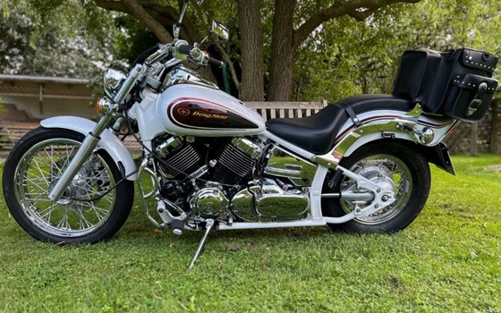 Gebrauchtmotorrad Yamaha XVS 650 Drag Star - Bild 1